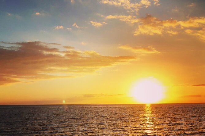 2 hour Tiki Pub Sensational Dolphin Sunset Cruise (Adults only) - Boarding at Excursions Marina on San Carlos Boulevard