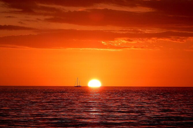 2 hour Tiki Pub Sensational Dolphin Sunset Cruise (Adults only) - The Fort Myers Beach route and harbor views