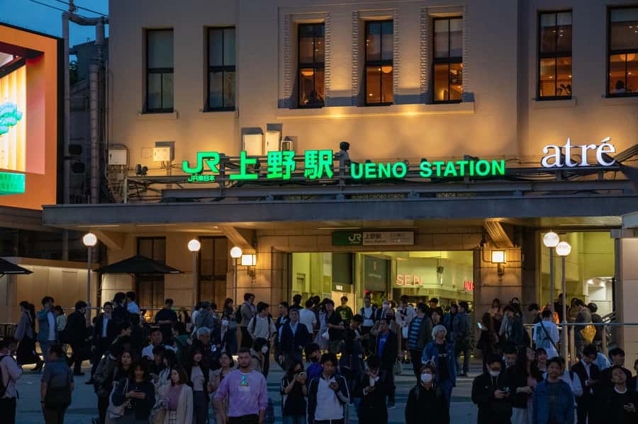 All-You-Can-Drink Bar Hopping Tour in Ueno - Who will enjoy this Ueno night out