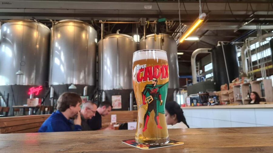Antwerp: Pub Crawl in the Historical City - Should you book it?
