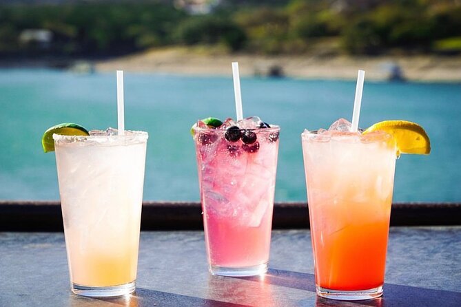 Austin Lake Travis Barge Crawl Bar Hopping Tour by Boat - What this Lake Travis bar crawl is really like