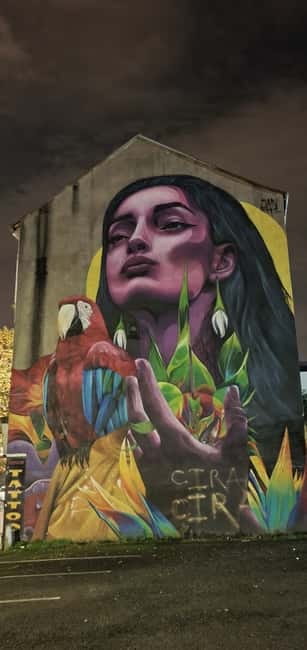 Belfast : Pub Music , Street Art Experience Walking Tour - From traditional music to punk and modern Belfast