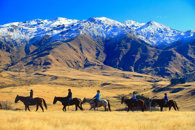 Cardrona High Country Pub Trail Horse Trek (Intermediate level+) - Riding above the Cardrona Valley