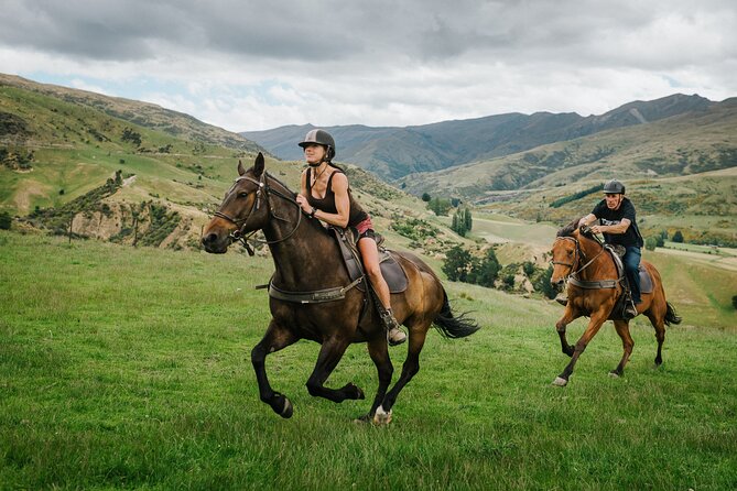 Cardrona High Country Pub Trail Horse Trek (Intermediate level+) - Gold-rush country with a local story