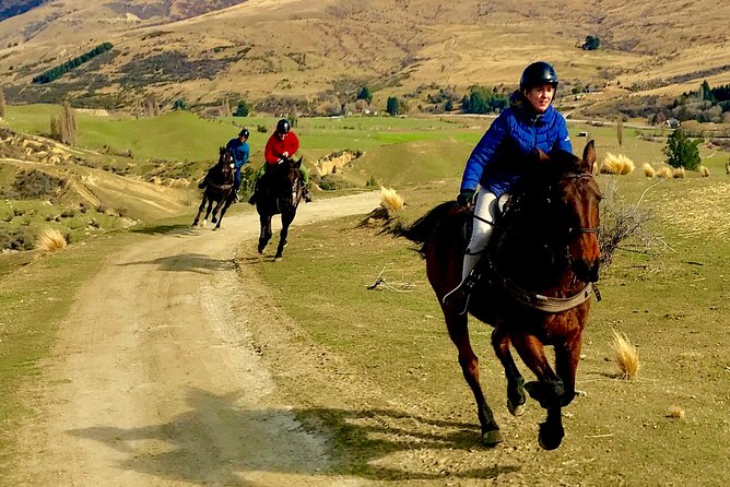 Cardrona High Country Pub Trail Horse Trek (Intermediate level+) - Weather, sun, and what to wear