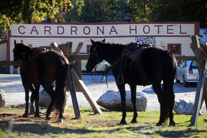 Cardrona High Country Pub Trail Horse Trek (Intermediate level+) - Price and what you receive for $433.78