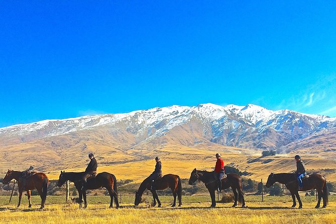 Cardrona High Country Pub Trail Horse Trek (Intermediate level+) - A small group makes a real difference