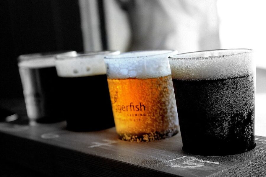 DAILY Beer Tasting Private Guided Tour at Best Warsaw Pubs - Is $179 a fair price?