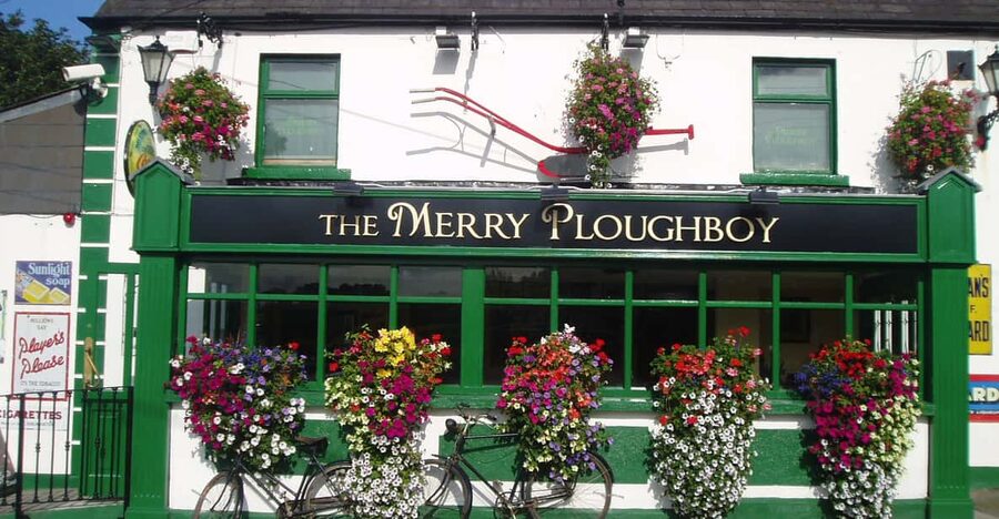 Dublin: Irish Night Show at the Merry Ploughboy Pub - A musical journey through Irish songs and ballads