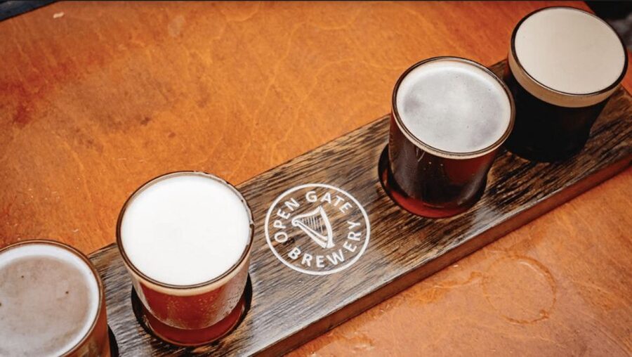Dublin: Traditional Pubs Walking Tour with Local Guide - Is the Dublin traditional pubs tour worth booking?