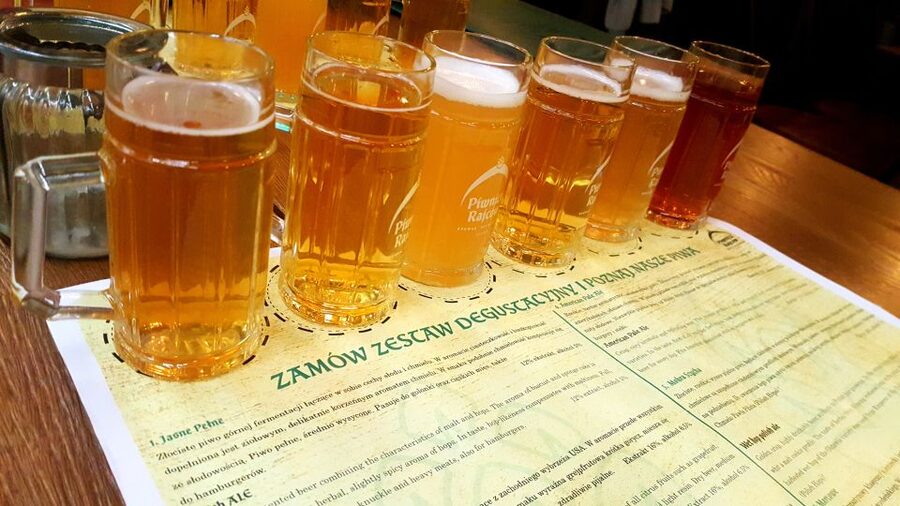 Gdansk Private Polish Beer Tasting Tour at Best Pubs & Bars - Who should book this experience