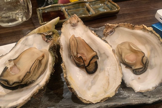 Hiroshima Izakaya Food and Drink Night Tour - Who will get the most from this tour