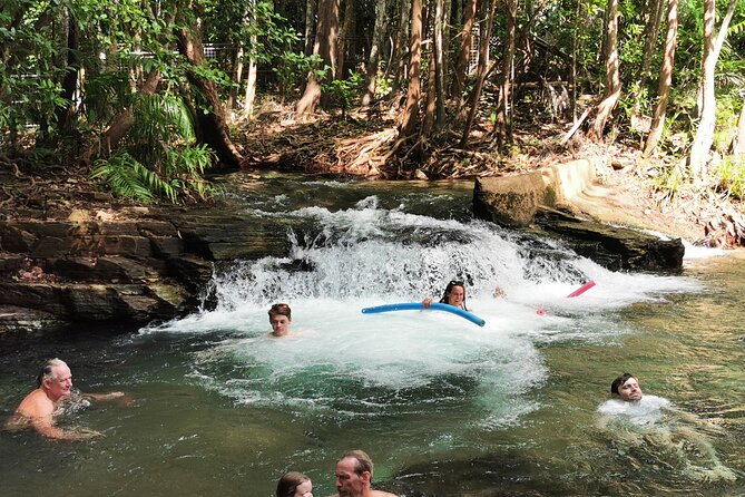 Jumping Croc Cruise, Berry Springs, Fogg Dam & Humpty Doo Pub - Five things to know before you book