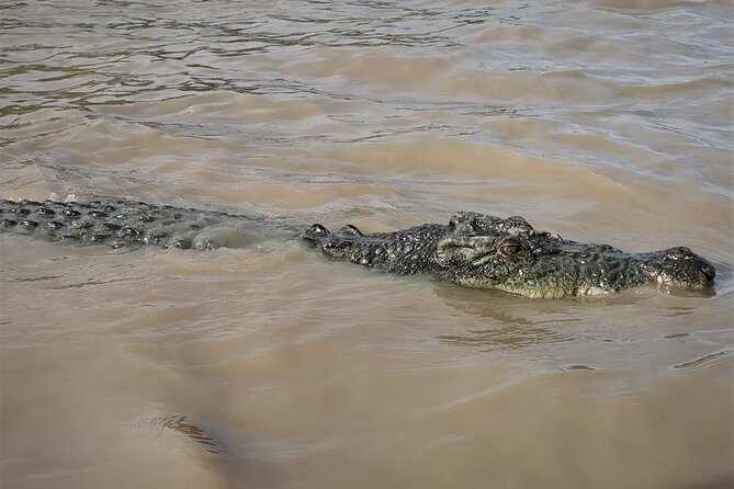 Jumping Croc Cruise, Berry Springs, Fogg Dam & Humpty Doo Pub - What to pack and how to pace yourself