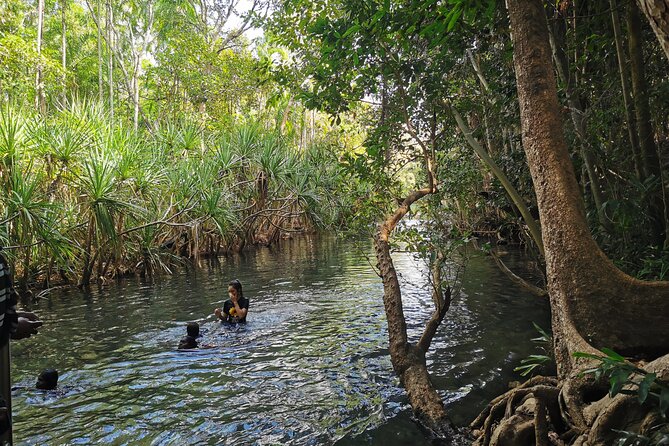 Jumping Croc Cruise, Berry Springs,Fogg Dam & Humpty Doo Pub - Berry Springs: begin with a swim
