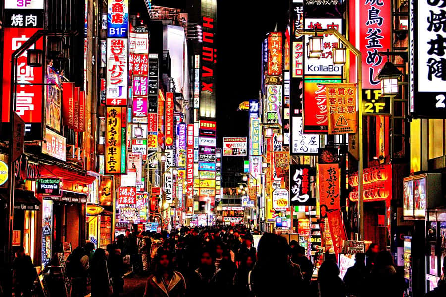Kabukicho bar hopping & grab a bite tour - Starting at Shinjuku 3-chome
