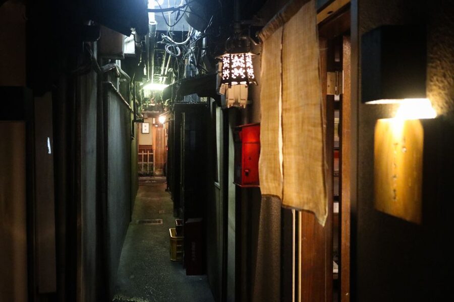 Kyoto : Bar Hopping Tour in Pontocho Alley at Night - Who should book this Kyoto night out?