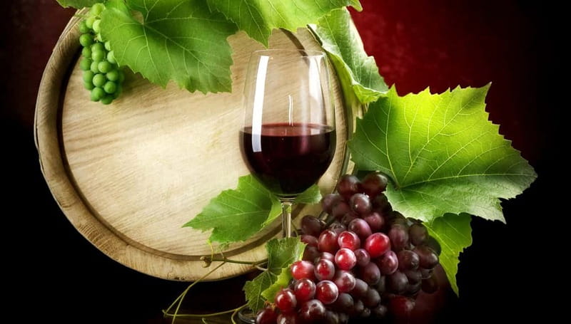 Madrid Wine Tasting, Flamenco Class and Pub Crawl - Adding a Professional Flamenco Performance