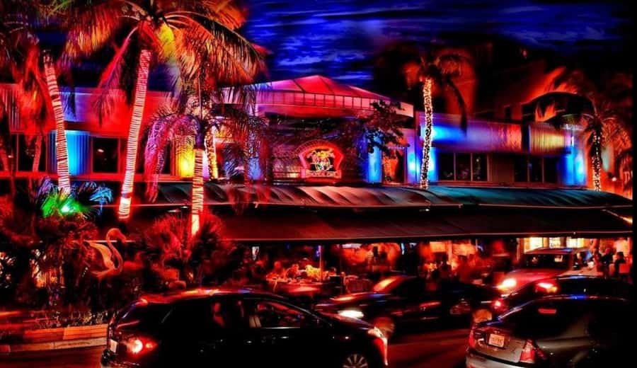 Miami Pub Crawl + Clubbing Experience - The final Ocean Drive club