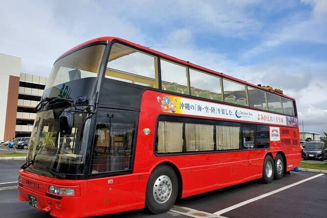 Naha Bar Hopping Tour in Okinawa - Who should book this Naha night out