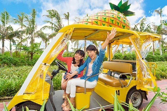 Naha Bar Hopping Tour in Okinawa - Timing, weather, and cancellation details