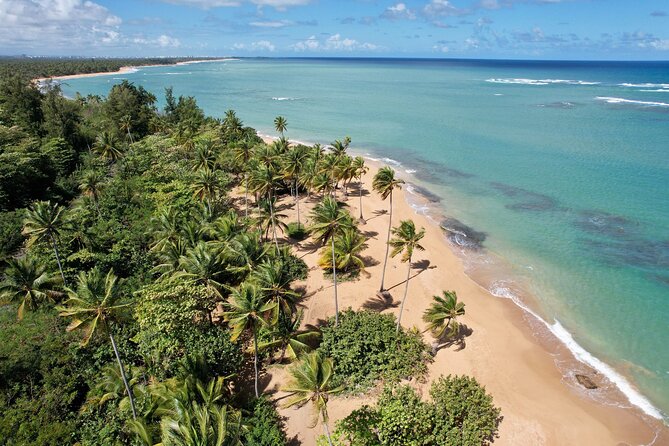 PR Chinchorreo-Beach and Bar Hopping Tour - Key points at a glance