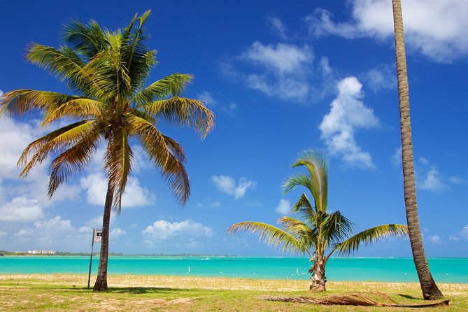 PR Chinchorreo-Beach and Bar Hopping Tour - Patillas: sea views with a food stop
