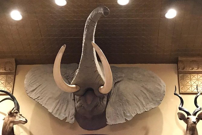 Private History Pub Tour through the Menger & Buckhorn Saloon - Timing, meeting point, and walking demands