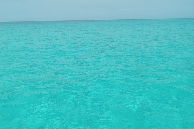 Private speed boat beach and bar hopping visiting Rose island - Five things to know before you book