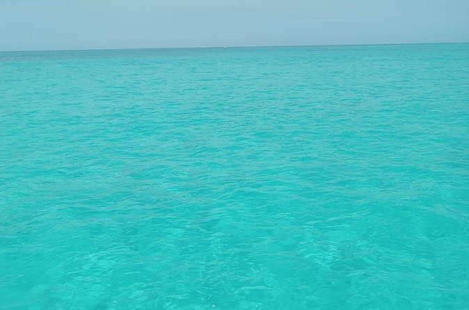 Private speed boat beach and bar hopping visiting Rose island - Beach bars, lunch, and the floating bar