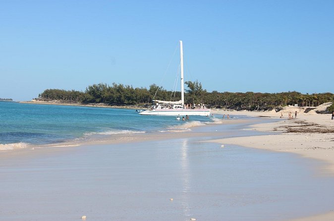 Private speed boat beach and bar hopping visiting Rose island - Snorkeling and the swimming pigs possibility