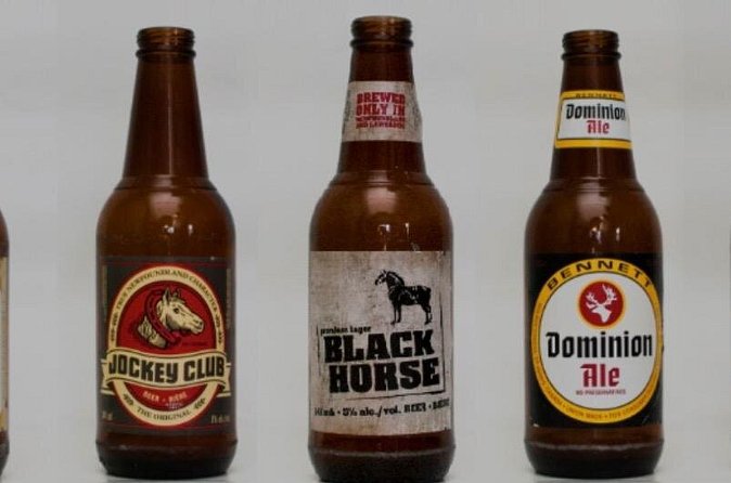 St. John's Local Pub Tour & History Lesson - The guide makes the difference