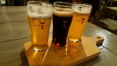 Warsaw Private Polish Beer Tasting Tour at Best Pubs & Bars